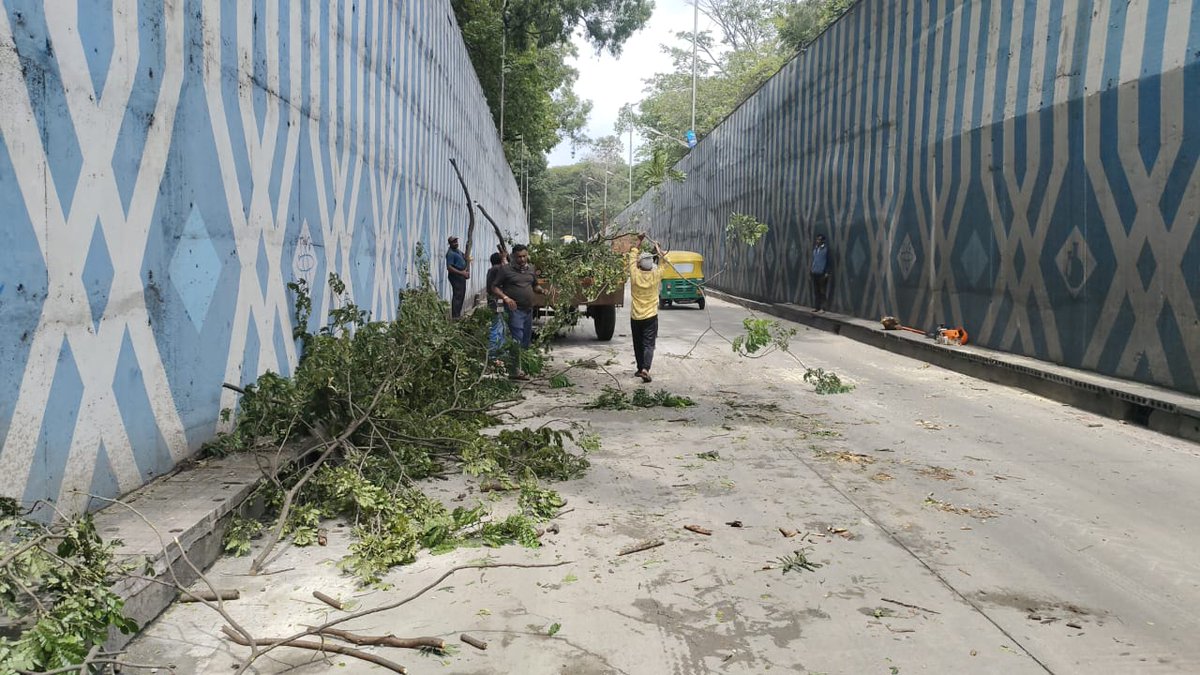 BCCCofficial's tweet photo. Cleared fallen tree branch which was obstructing traffic on Sir CV Raman Road by bbmp forest dept team and allowed vehicles to move smoothly.
#BBMP #BBMPCares #bbmpforest
#DKShivakumar #bbmpadministrator #bbmpchiefcommissioner
@DKShivakumar @BBMPAdmn @BBMPCOMM https://t.co/YbkTQw698U