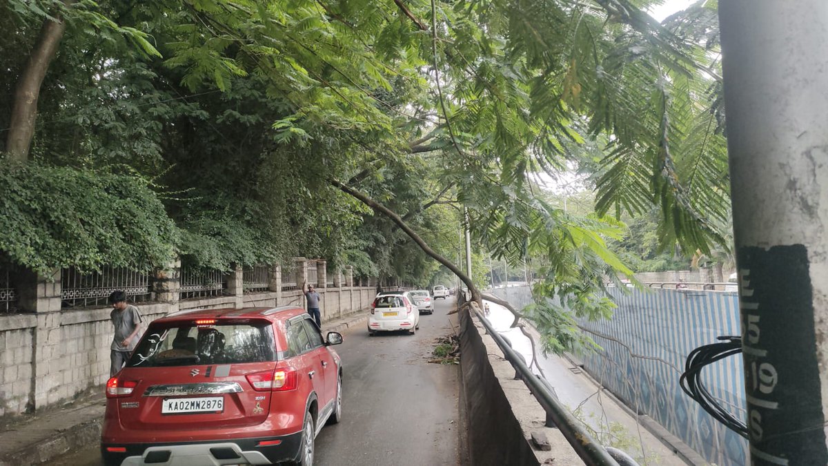 BCCCofficial's tweet photo. Cleared fallen tree branch which was obstructing traffic on Sir CV Raman Road by bbmp forest dept team and allowed vehicles to move smoothly.
#BBMP #BBMPCares #bbmpforest
#DKShivakumar #bbmpadministrator #bbmpchiefcommissioner
@DKShivakumar @BBMPAdmn @BBMPCOMM https://t.co/YbkTQw698U