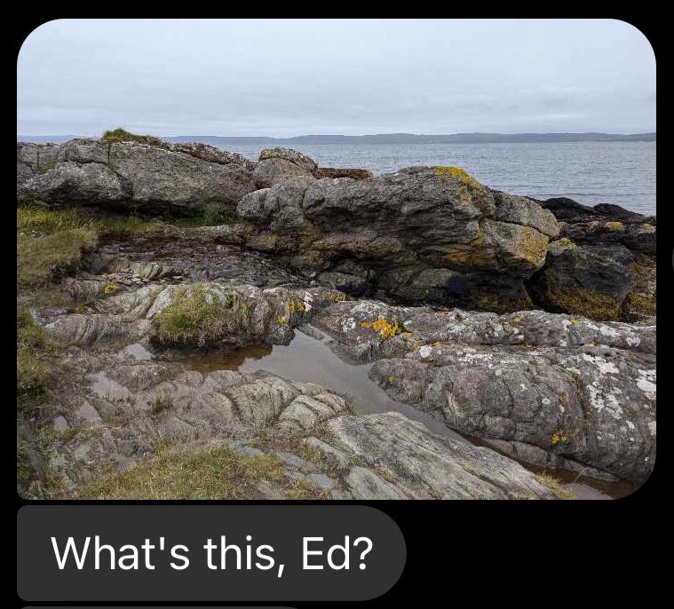 Dr Ed McGowan tweet media