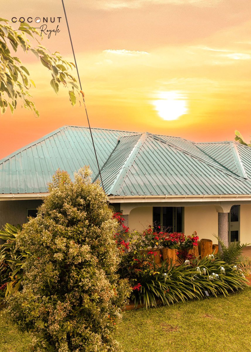 CoconutRoyaleUG's tweet image. Morning golden hour at our beautiful Fort Portal getaway. 🧘🏿‍♂️🧘🏾‍♀️

Got questions? Reach us on 0752606669 or 0771861972.

#home #airbnb #outoftown