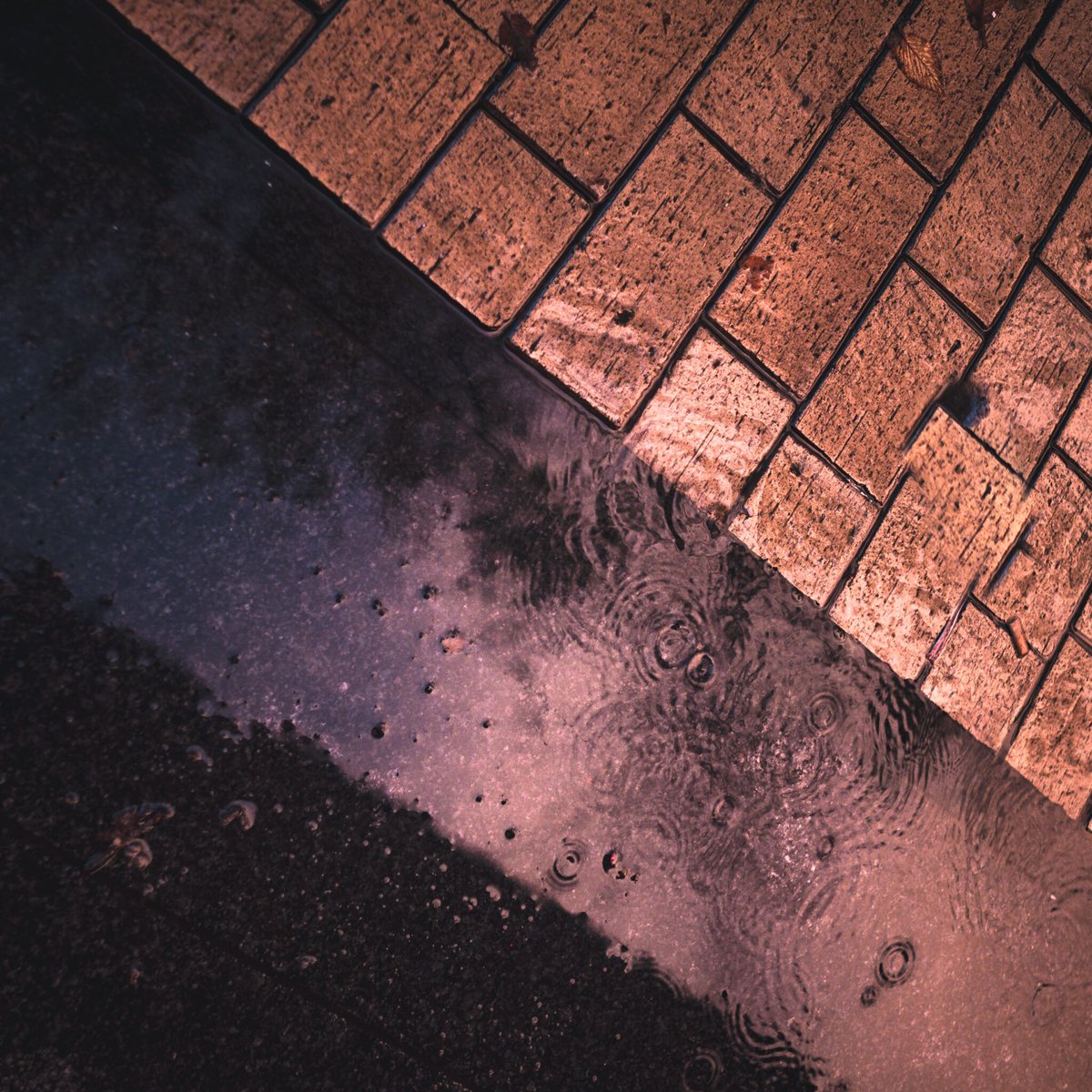 Lees terug | Het Gedempte Zuiderdiep in Groningen was voor de demping een cruciale gracht voor watervoorziening, scheepvaart en riolering. Tegenwoordig is de straat juist één van de risicoplekken bij extreem weer.

noorderbreedte.nl/2024/02/07/her…

Beeld: Sebastiaan Rodenhuis