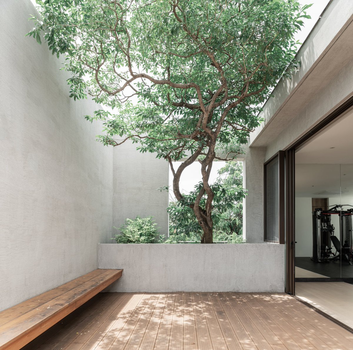 UPinteriors's tweet photo. Modern terrace with a tree. Baan FN by ANONYM. Photo by Sky|Ground. https://t.co/m6SQVp0kbB

#contemporary #terrace #thaiinteriors https://t.co/5po6aT3Aiq