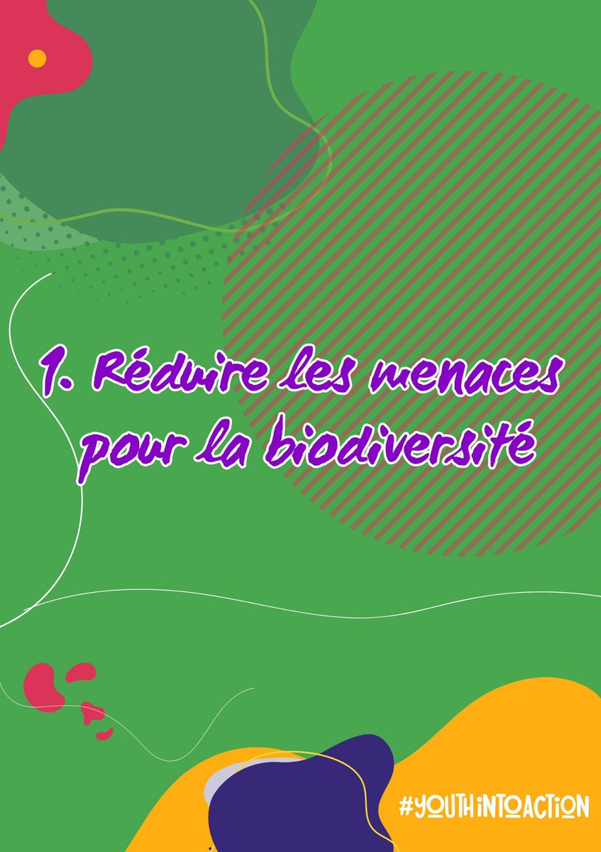 GYBN_Niger's tweet photo. #YouthIntoAction
#Gybn_Niger 
#Campagne de sensibilisation sur Kunming Montreal cadre mondial de #Biodiversité
Le 19 décembre 2022 après des nombreuses négociations, près de  200 pays adoptent le nouveau cadre mondial de Biodiversité dont le #Niger en fait parti
#Cible1
#KMGBF https://t.co/HSEymY4Npk