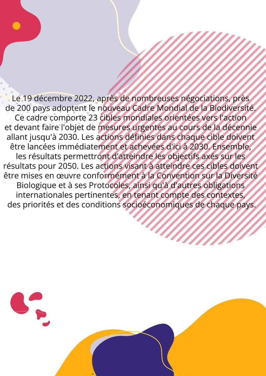 GYBN_Niger's tweet photo. #YouthIntoAction
#Gybn_Niger 
#Campagne de sensibilisation sur Kunming Montreal cadre mondial de #Biodiversité
Le 19 décembre 2022 après des nombreuses négociations, près de  200 pays adoptent le nouveau cadre mondial de Biodiversité dont le #Niger en fait parti
#Cible1
#KMGBF https://t.co/HSEymY4Npk