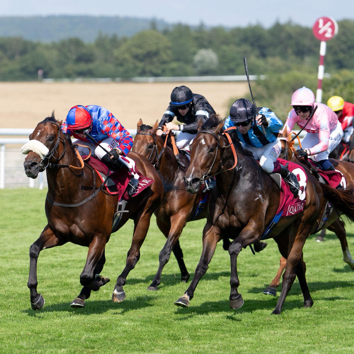 🏇 NUNTHORPE STAKES DECLARATIONS 🏇

Bradsell Hollie Doyle
Clarendon House PJ McDonald
Live In The Dream Sean Kirrane
Ponntos Mickael Barzalona
Regional Callum Rodriguez
Washington Heights Tom Eaves
Big Evs Tom Marquand
Starlust Rossa Ryan
Asfoora Oisin Murphy
Azure Blue Paul