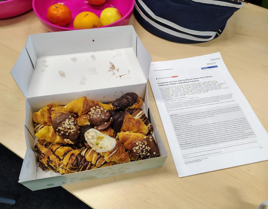I really like our group’s tradition of bringing sweets when we publish a paper. Today it was my turn.

Global Ecology and Biogeography - 2024 - Zvereva et al. - Predation on Live and Artificial Insect Prey Shows Different Global Latitudinal Patterns

onlinelibrary.wiley.com/doi/10.1111/ge…