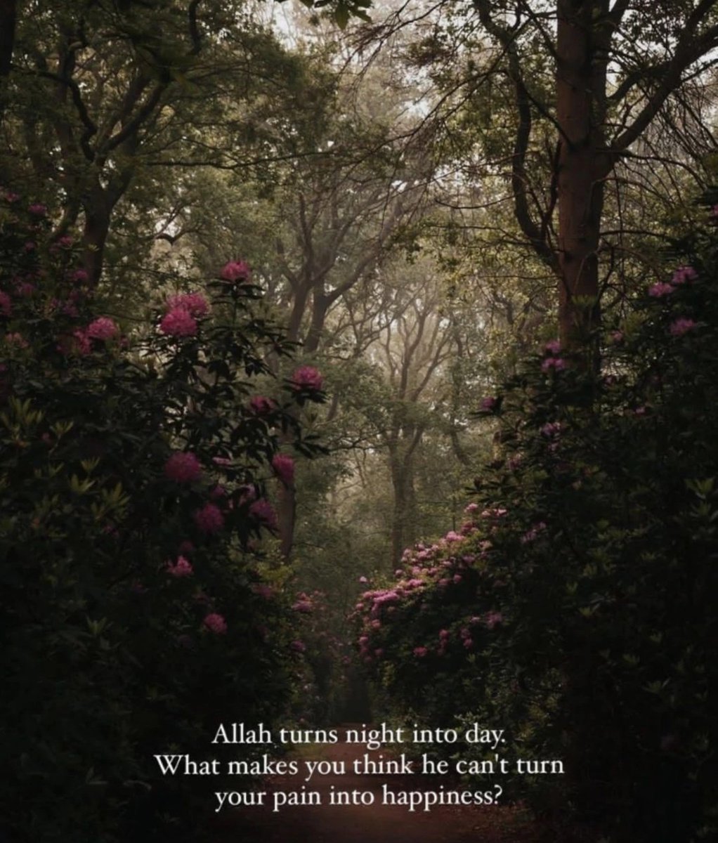 The Review tweet media