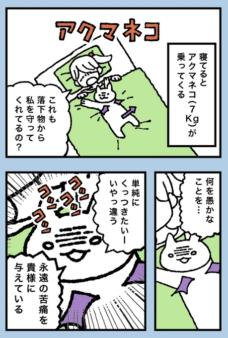 飼い主大好きアクマネコ(2/3) 