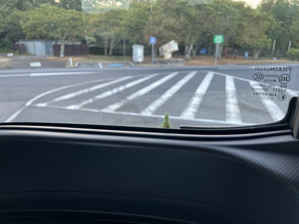 TORA42922780's tweet photo. こんにちは(*≧∇≦)ﾉ 
って。。。

覗き見されてますw https://t.co/8Dv0nBq7yh