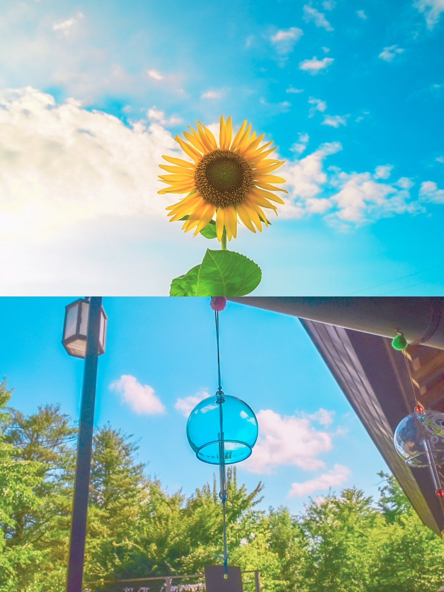 はやと｜hayato tweet media