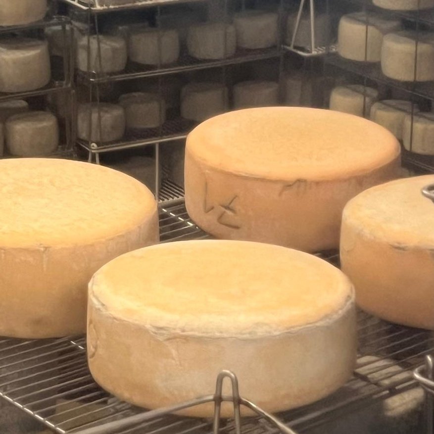 #ArtzainEskola es un buen reflejo de lo que es Gipuzkoa, de esa esencia que queremos mostrar al mundo. 
Bertan gure tradizio eta produktuei lotutako ofizioa ezagutu daiteke eta oso interesgarria iruditzen zaigu bisitatzen gaituztenek experientzia hau ezagutzea.
#ZUREtzatGipuzkoa