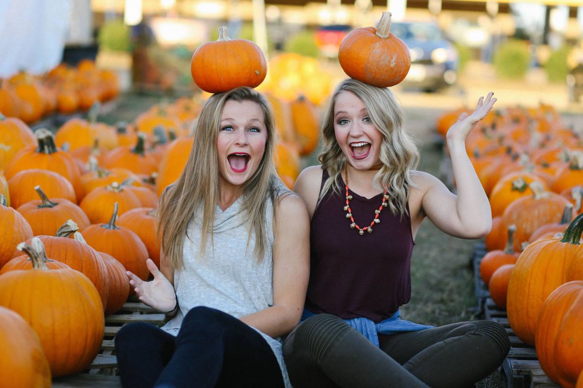 Search & Co Groep tweet media