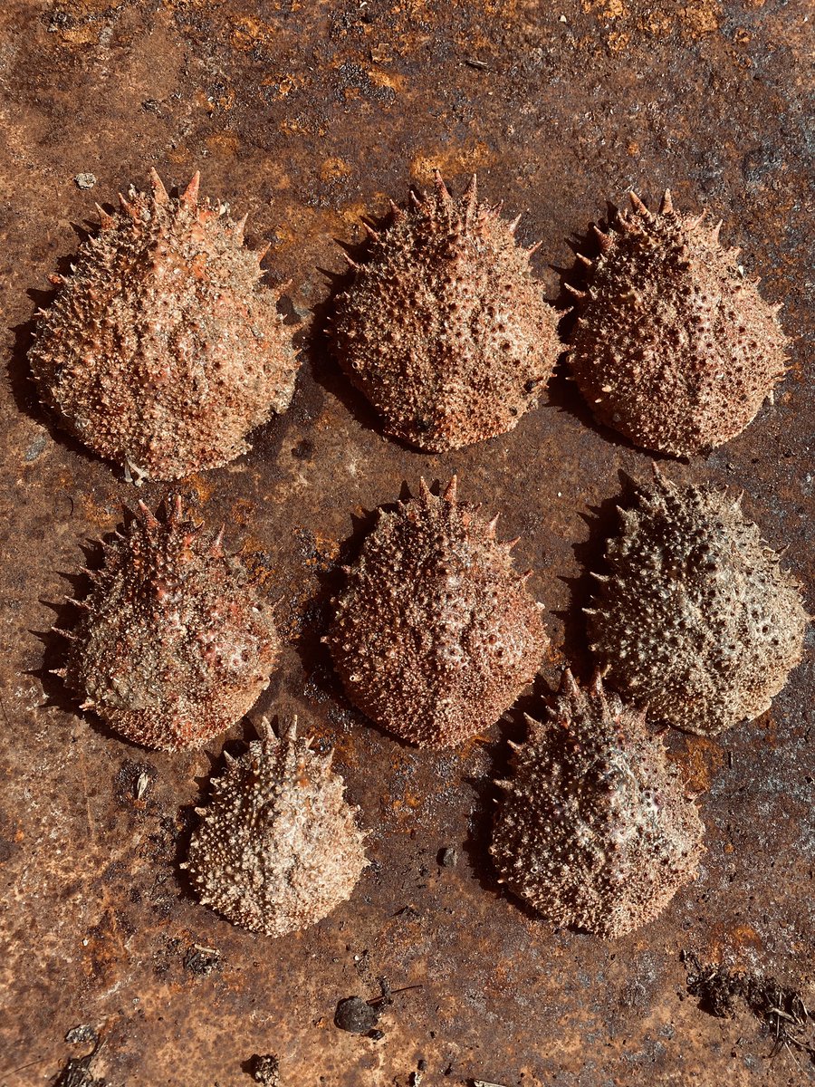 Treasure #thismorning #sea #beach #colour #texture #joy