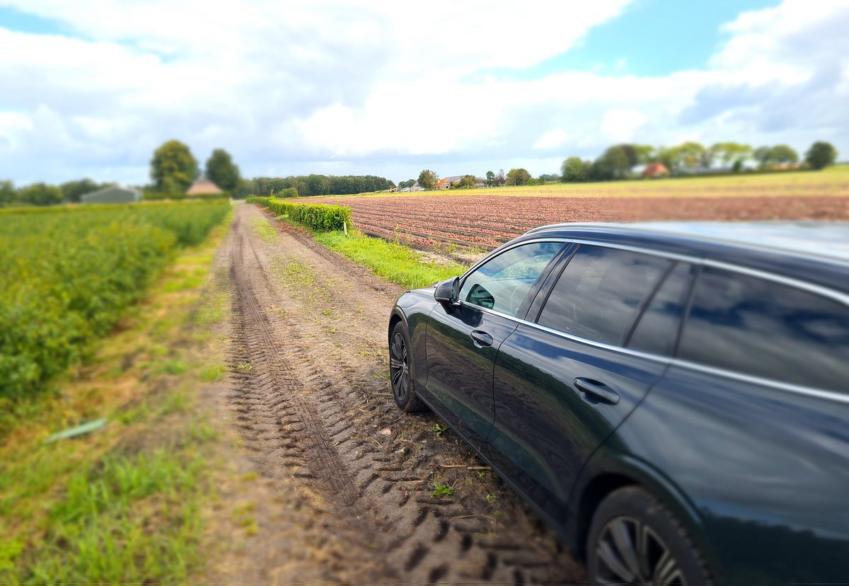 Echte schade-expertise vind plaats op locatie. Qua patet orbis