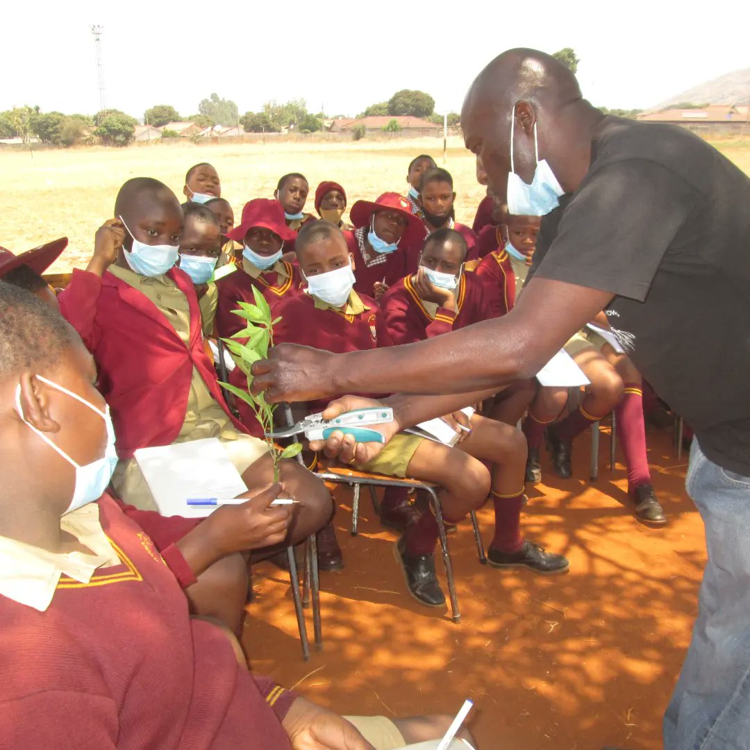 TreeKnowers's tweet image. The rate of deforestation far supersedes that of afforestation .Some 330 000 hectares of forest are lost anually .This issue requires collective efforts as a country hence we strive to reach out to communities and children and inspire them to be tree growers.