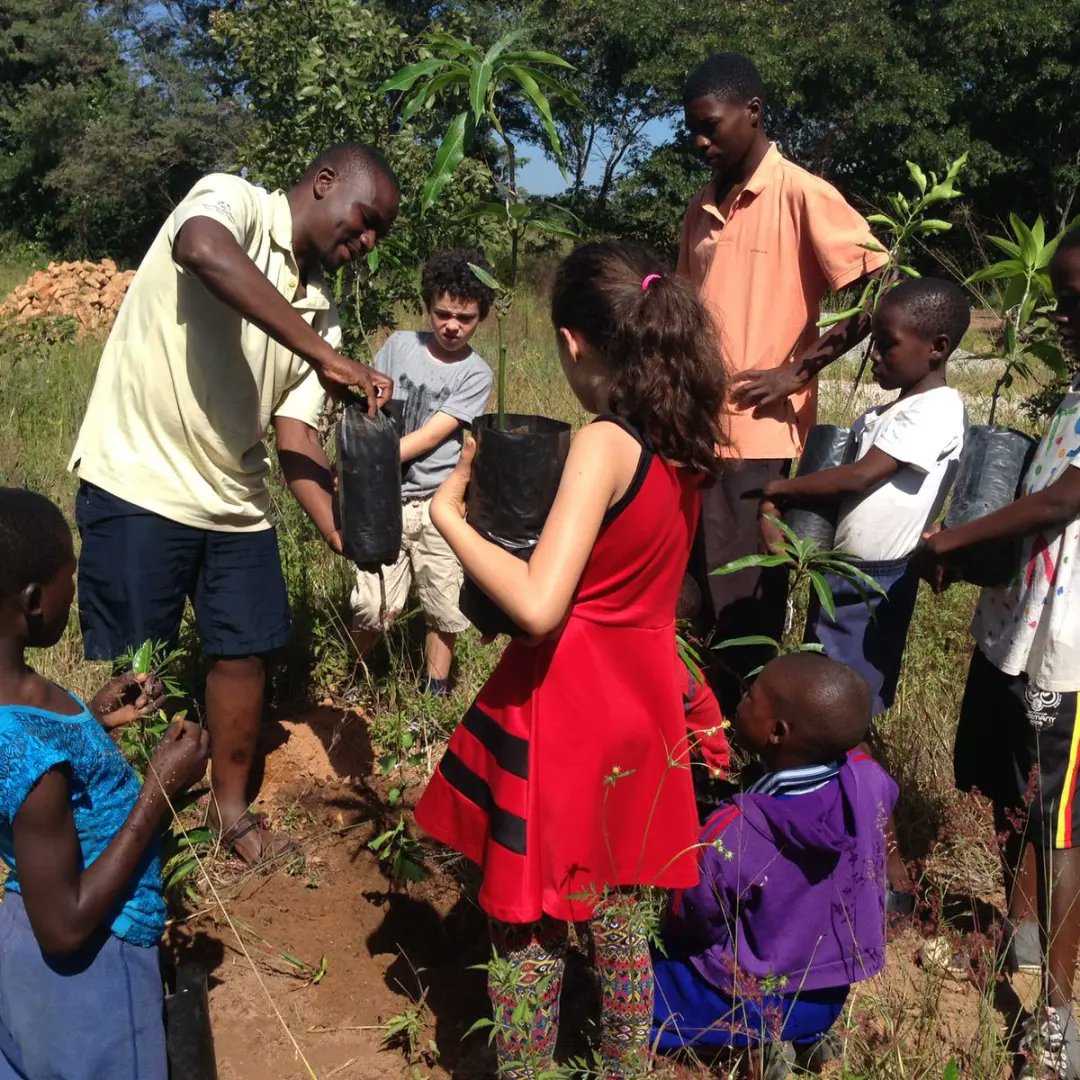 TreeKnowers's tweet image. The rate of deforestation far supersedes that of afforestation .Some 330 000 hectares of forest are lost anually .This issue requires collective efforts as a country hence we strive to reach out to communities and children and inspire them to be tree growers.