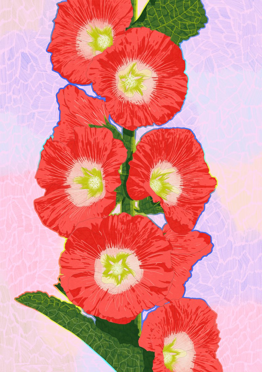 Continuing the floral theme with some hollyhocks! #hollyhocks #flowerillustration