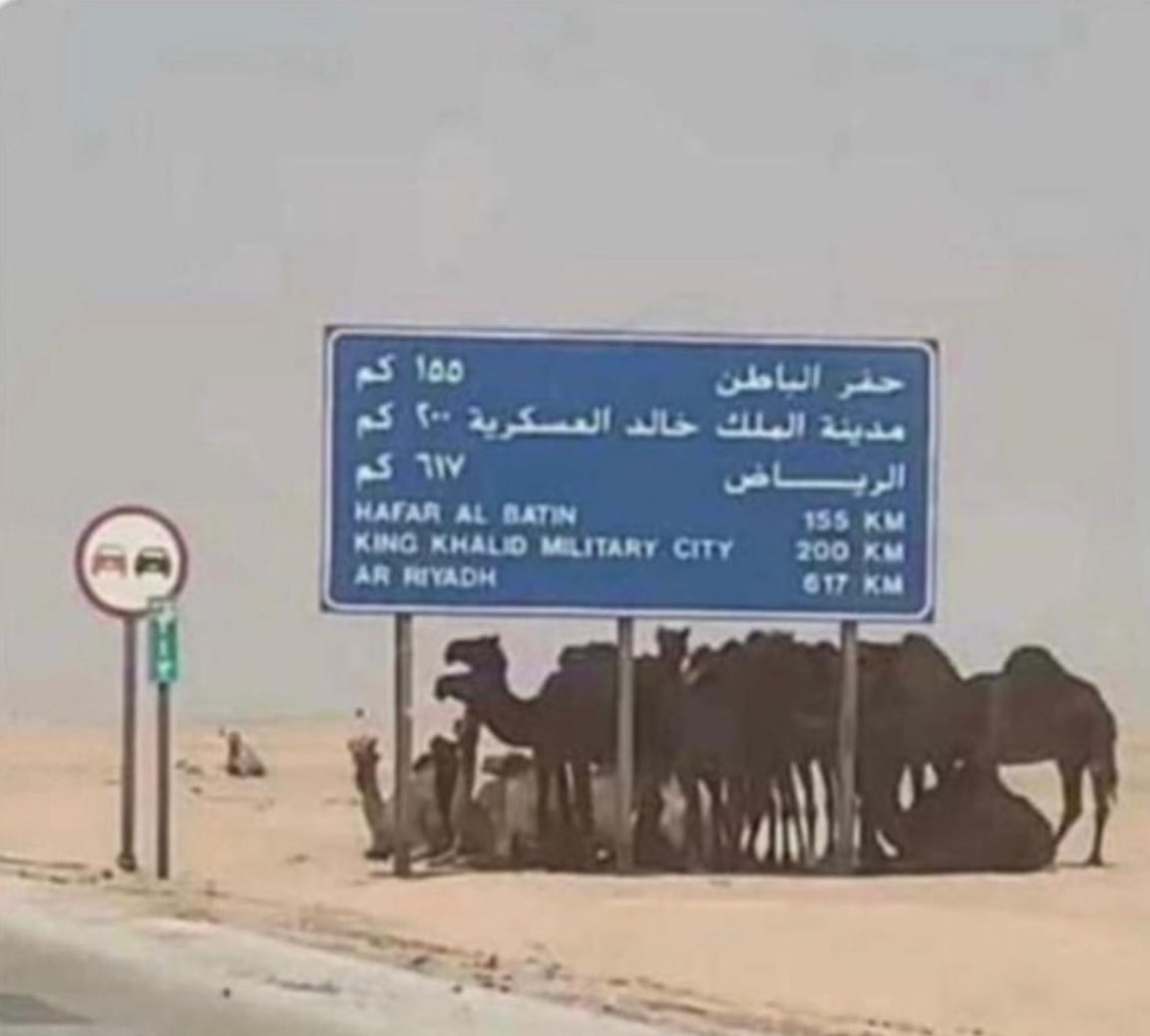 bu_khalid_7's tweet photo. يالله عفوٍ منك في يوم الأهوال 
وتجيرنا من يوم حشرٍ يهوِّل 

وتجعلنا ربِ تحت عرشك ظلال 
في يوم مابه غير ظلك يظلل https://t.co/9XxCc6vtTu