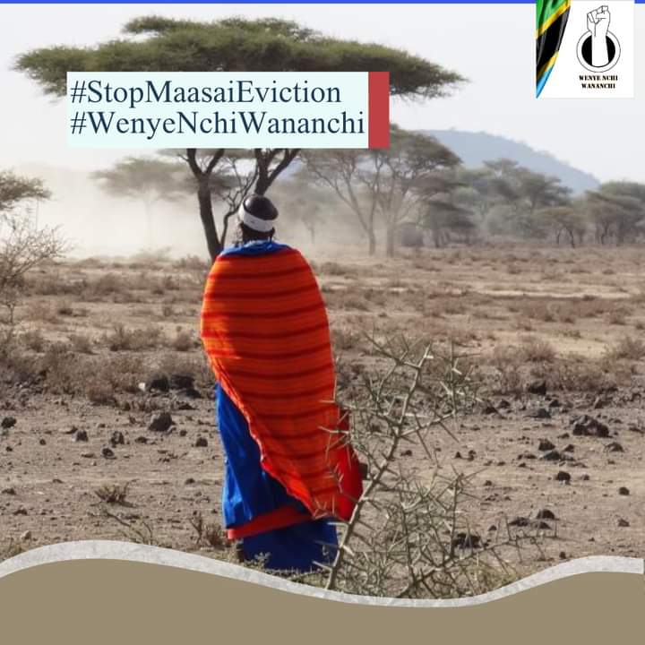 JonathanKoipah's tweet photo. Ngorongoro Wamasai wameamua wapo hapa kwa siku ya nne leo wanadai haki zao za msingi, 
1.Haki ya kupiga kura 
2.Haki ya kupewa huduma za kijamii 
3.Haki ya kuendelea kuishi kwenye makazi yao. 
@NiceNaadokila @Charlie_flani #stopmaasaieviction https://t.co/Nekw7ZuwgY