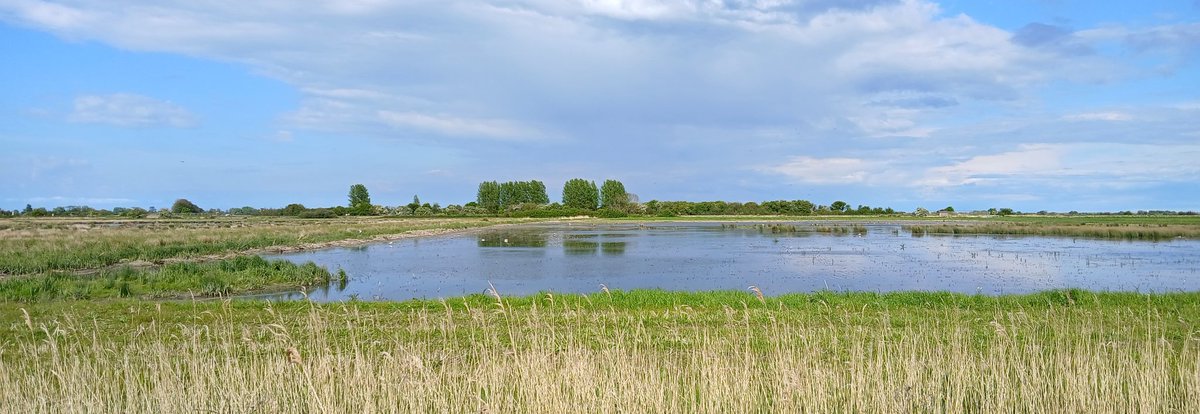 IN FOCUS SOUTH WEST Optics Open day at Sandwich Bay Bird Obs <a href="/Sandwichbirdobs/">SBBOT</a> this Sunday 25th August <a href="/KentWildlife/">Kent Wildlife Trust</a> call Keith 01225 891352 for more info <a href="/opticronuk/">Opticron</a> <a href="/SwarovskiOptik/">SWAROVSKI OPTIK</a> <a href="/VortexOpticsUK/">Vortex Optics UK</a> <a href="/hawkeoptics/">Hawke Optics</a> <a href="/ZEISSBirding/">ZEISS Birding</a> and more