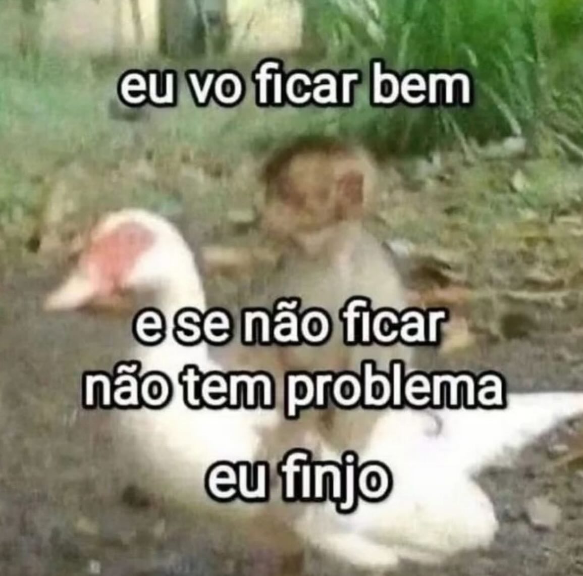 odeiootaco's tweet image. 