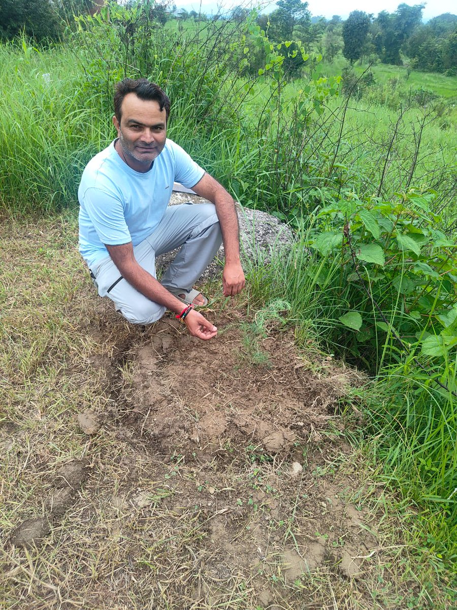 CSCKangra001's tweet photo. "एक पेड़ मां के नाम"!!  
धरती को हरा-भरा बनाएं, माँ के नाम का एक पेड़ लगाएं... celebrating in Distt kangra  at Gram Panchyat Lahla  our vle MR Neeraj ,Param and Bablu has  plating 150 Tree with help Village peoples @drnipunjindal @CSCHimachal @CSCegov_ @chhunkuR @sanjaykrakesh https://t.co/kPwgwASyRP
