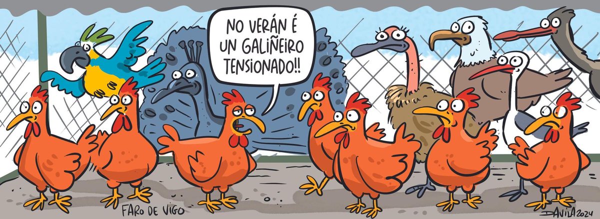 Poboacións turísticas.
#Verán #TurismoGalicia #Galiñeiro #HumorGalego #Davila