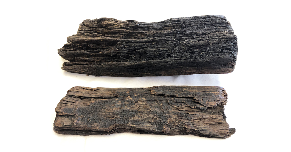 LancsMuseums's tweet image. This Bronze Age wooden sleeper, dating to 2300-2200BC, was part of a trackway crossing Pilling Moss. It was perceived to be a special place in prehistory where axe heads and other prized items were thrown into the water as offerings.
lancashire.gov.uk/leisure-and-cu…

#50LancashireObjects