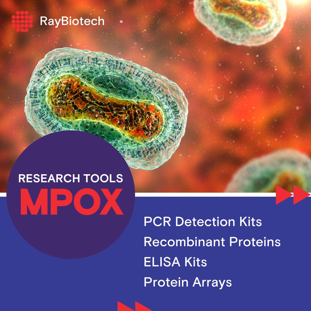 Stay ahead in the fight against Mpox with our advanced research tools - from PCR detection kits to recombinant proteins and ELISA kits, we've got everything you need to support your research.

🔗Browse Mpox research products:
raybiotech.com/applications/i…

🔗Read our blog about the