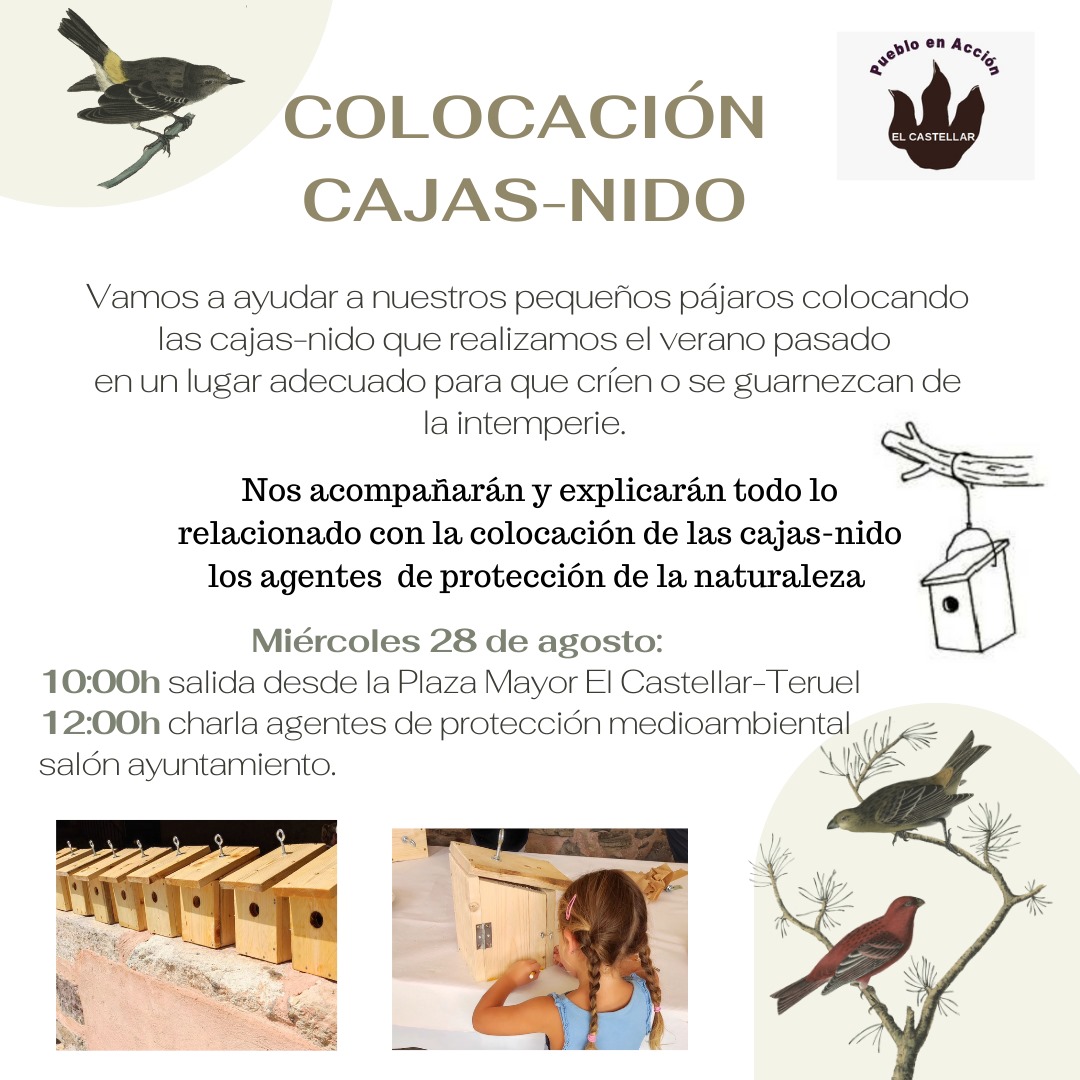 el_castellar's tweet photo. https://t.co/gDcdVQqYwG