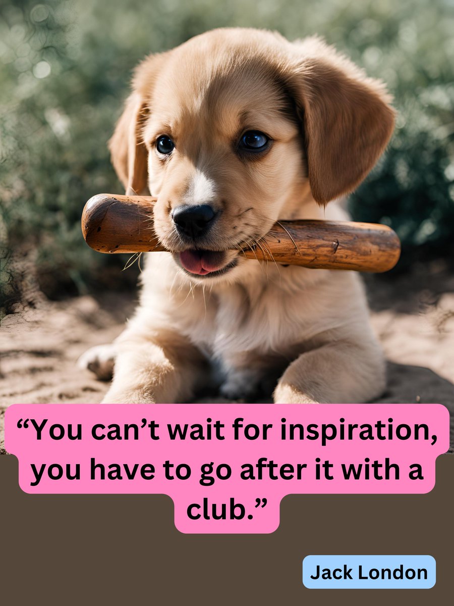 Indie 💫 tweet media