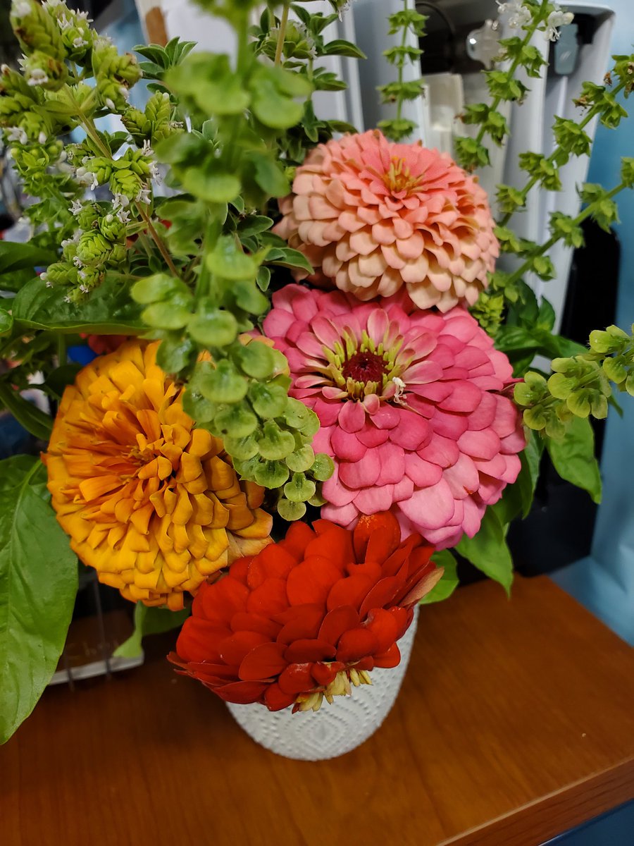 Anderson Mill Elementary Library tweet media