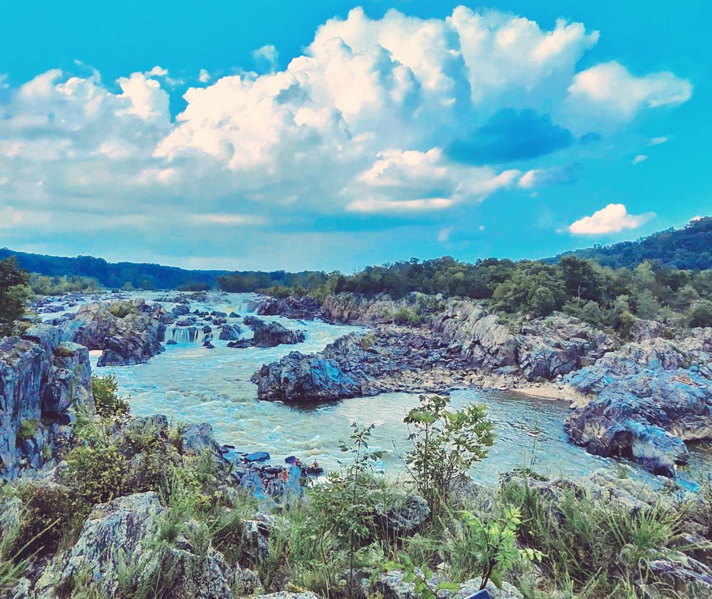 HitmeWMusicVR's tweet image. We were eating lunch at a park then suddenly a baby rat snake 🐍 fell out of a tree on top of the table of the people next to us 😂. 
The falls were nice tho, then it rained just as we were finishing up. #metaview