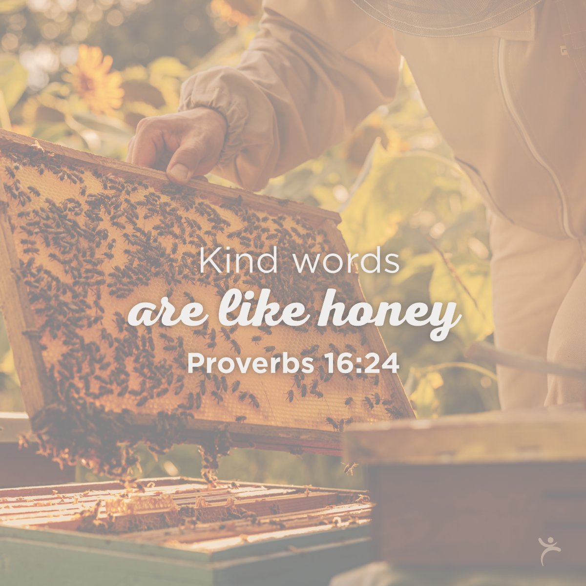 CAGifts's tweet image. Proverbs 16:24  Kind words are like honey- sweet to the soul and healthy for the body.
#kindwords #wordslikehoney #proverbs