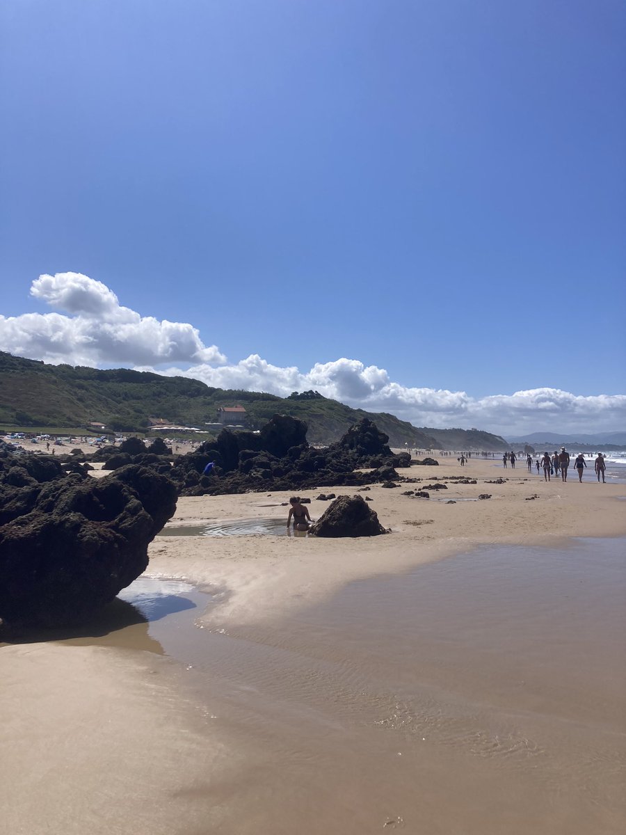 Berlio reporter au Pays basque 🐦 tweet media