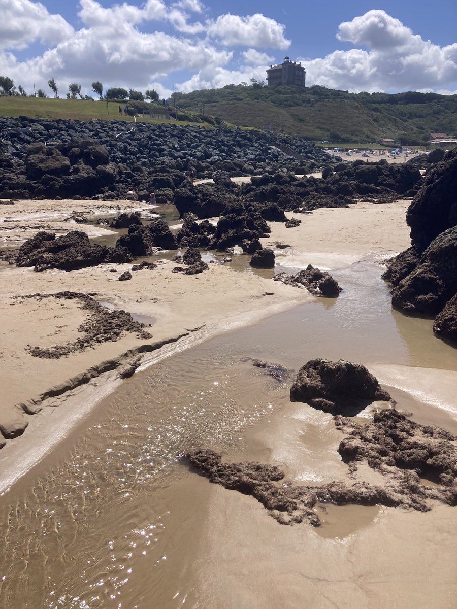 Berlio reporter au Pays basque 🐦 tweet media