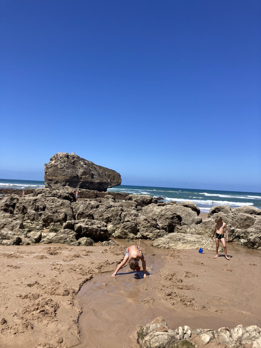 Berlio reporter au Pays basque 🐦 tweet media