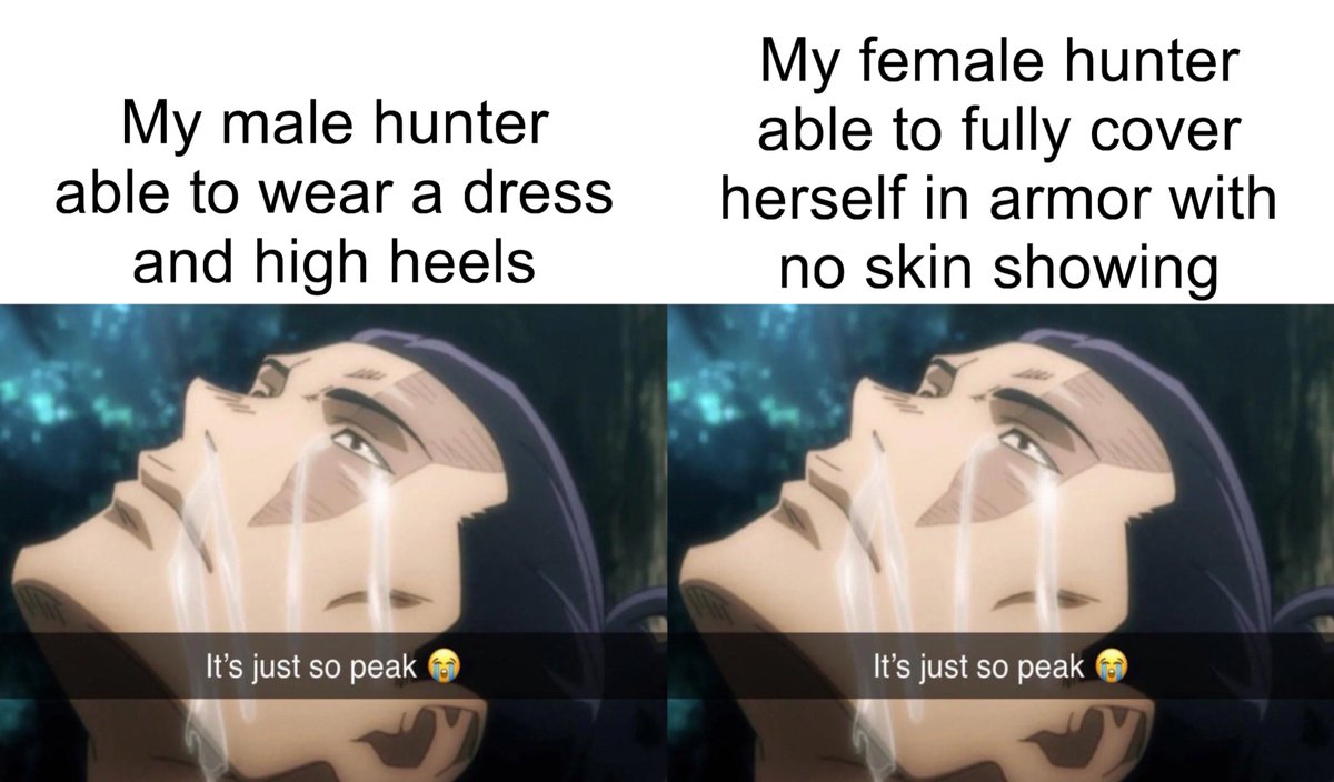 QuirklessStoner's tweet image. Wilds having no gender locked armor is so hype