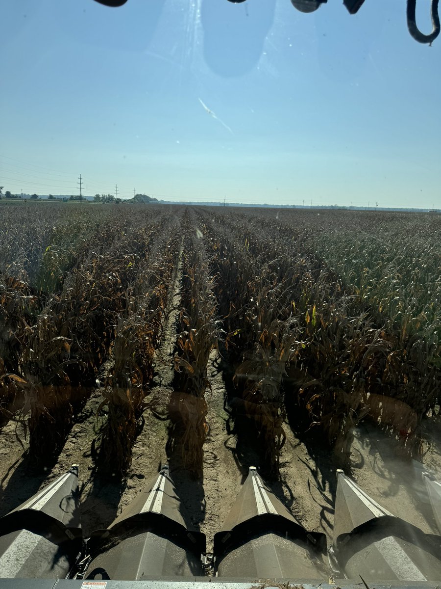 Craig Allen tweet media