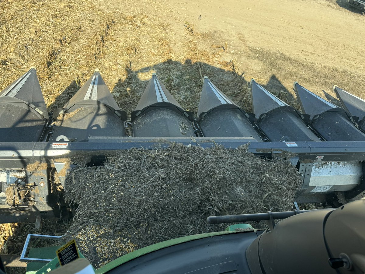 Craig Allen tweet media