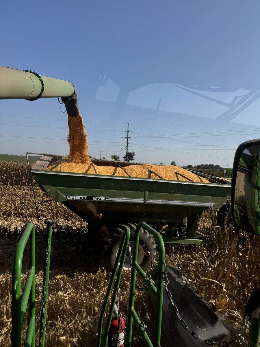 Craig Allen tweet media