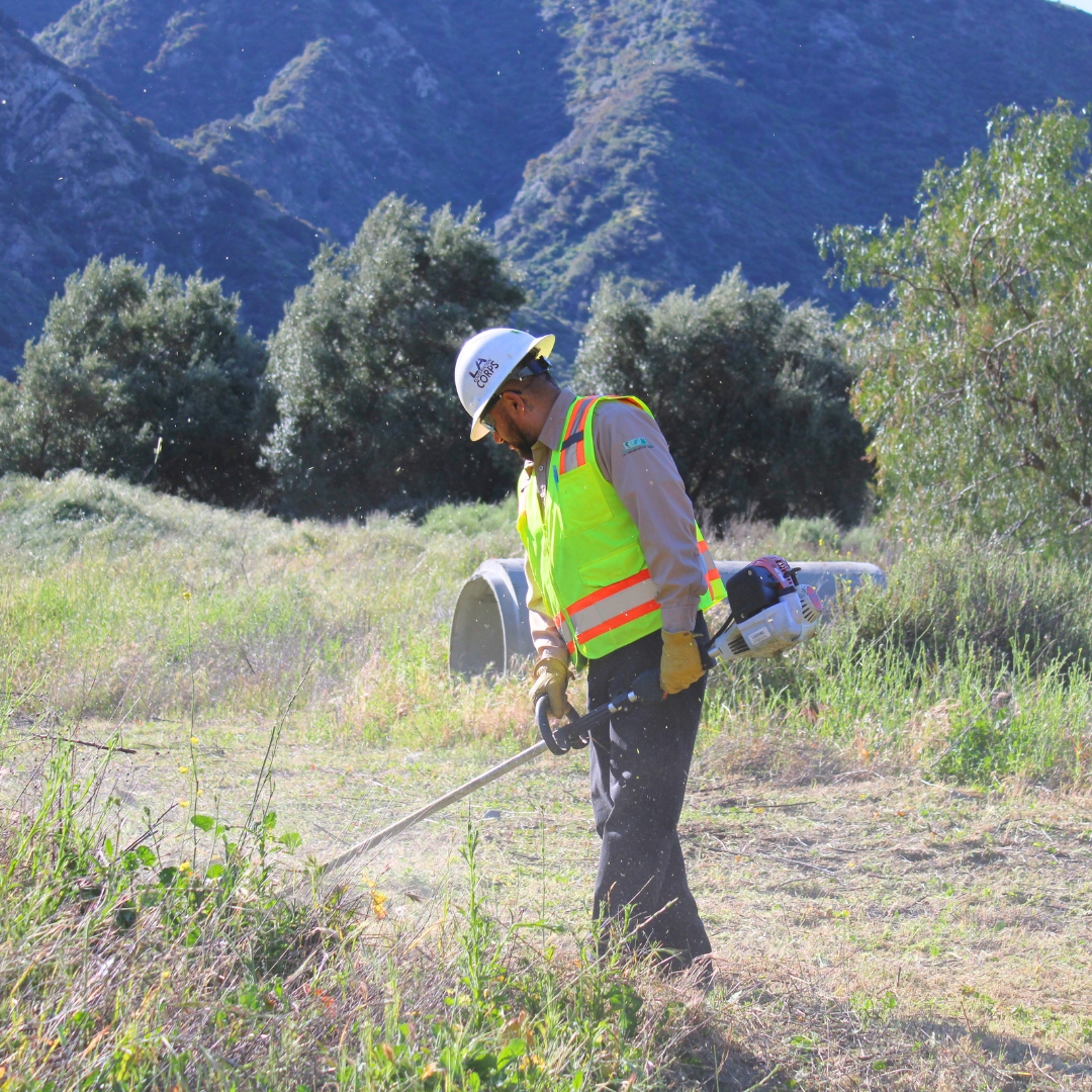 LA ConservationCorps tweet media