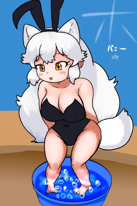 ホッキョクギツネ(ウサギ) 