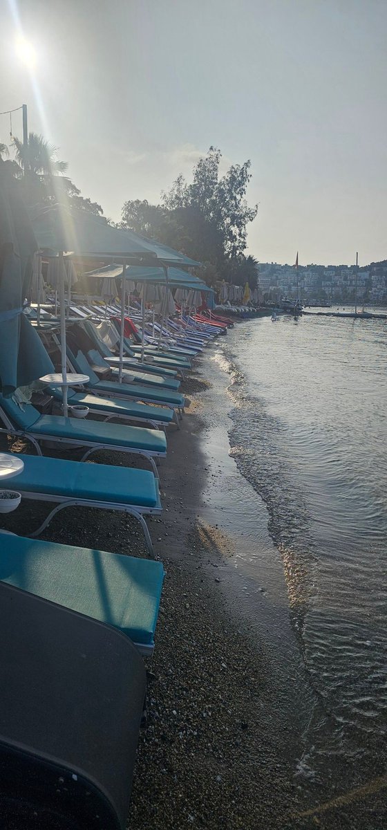 Son üç gündür Bitez sahilde yürüyüşe çıkıyorum kıyıların durumu bu, sonsuz işgal <a href="/BodrumBel/">Bodrum Belediyesi</a> <a href="/muglabsb/">Muğla Büyükşehir Belediyesi</a>