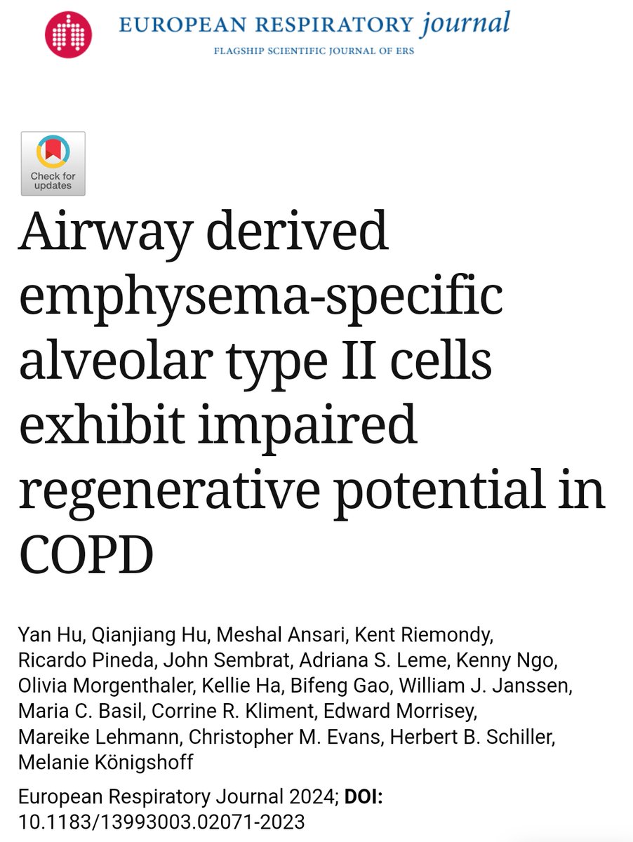 Yan Hu (@yantracyhu) on Twitter photo 1/7 🧵 Exciting news! Our latest research, titled "Airway Derived Emphysema-specific Alveolar Type II Cells Exhibit Impaired Regenerative Potential in COPD," has been accepted and is now available online in the European Respiratory Journal! <a href="/ERSpublications/">ERS publications</a> 1/7 🧵 Exciting news! Our latest research, titled "Airway Derived Emphysema-specific Alveolar Type II Cells Exhibit Impaired Regenerative Potential in COPD," has been accepted and is now available online in the European Respiratory Journal! <a href="/ERSpublications/">ERS publications</a>