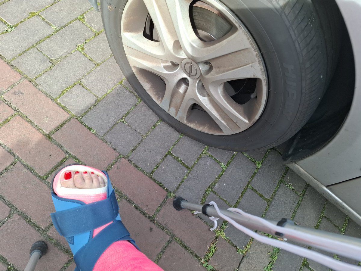 Marion Doomen tweet media