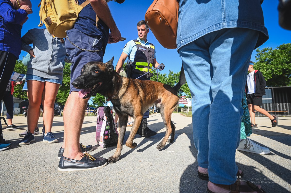 Préfet du Morbihan🇫🇷🇪🇺 (@prefet56) on Twitter photo Sécurité |
Dans le cadre des opérations interservices régulièrement menées dans le #Morbihan, la <a href="/PoliceNationale/">Police nationale</a> et la <a href="/Gendarmerie_056/">Gendarmerie du Morbihan</a> étaient ce matin à la gare maritime de #Vannes pour un contrôle antistups placé sous l'autorité de S. Jarlégand, sous-préfet... Sécurité |
Dans le cadre des opérations interservices régulièrement menées dans le #Morbihan, la <a href="/PoliceNationale/">Police nationale</a> et la <a href="/Gendarmerie_056/">Gendarmerie du Morbihan</a> étaient ce matin à la gare maritime de #Vannes pour un contrôle antistups placé sous l'autorité de S. Jarlégand, sous-préfet...