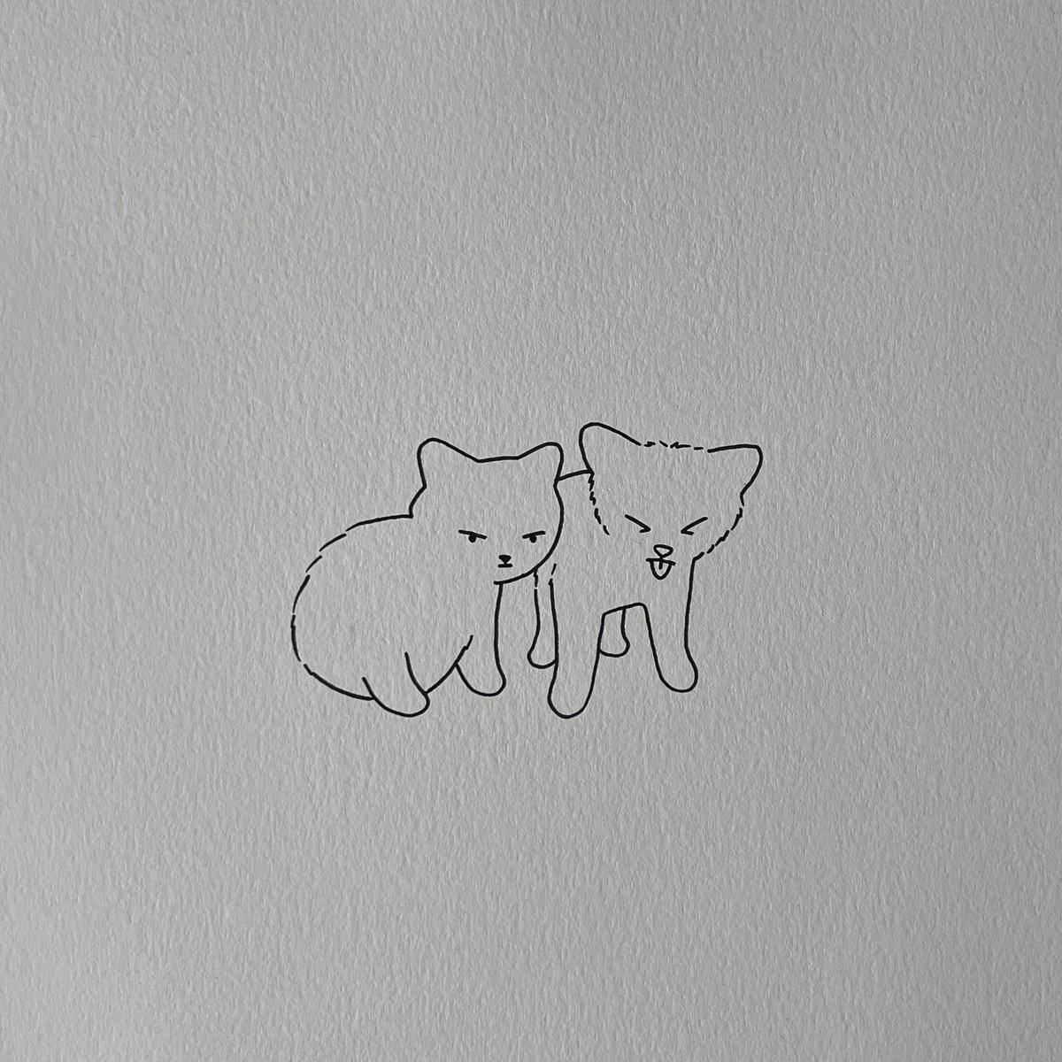 poorly drawn cats tweet media
