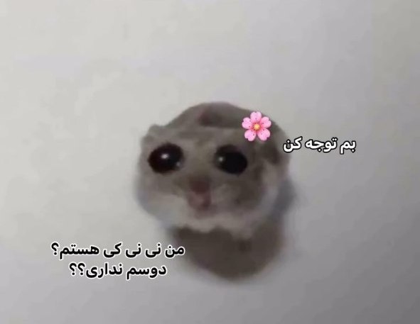 swgande's tweet photo. وقتی یکم بهم کم توجهی میکنه : https://t.co/zartNAmiam