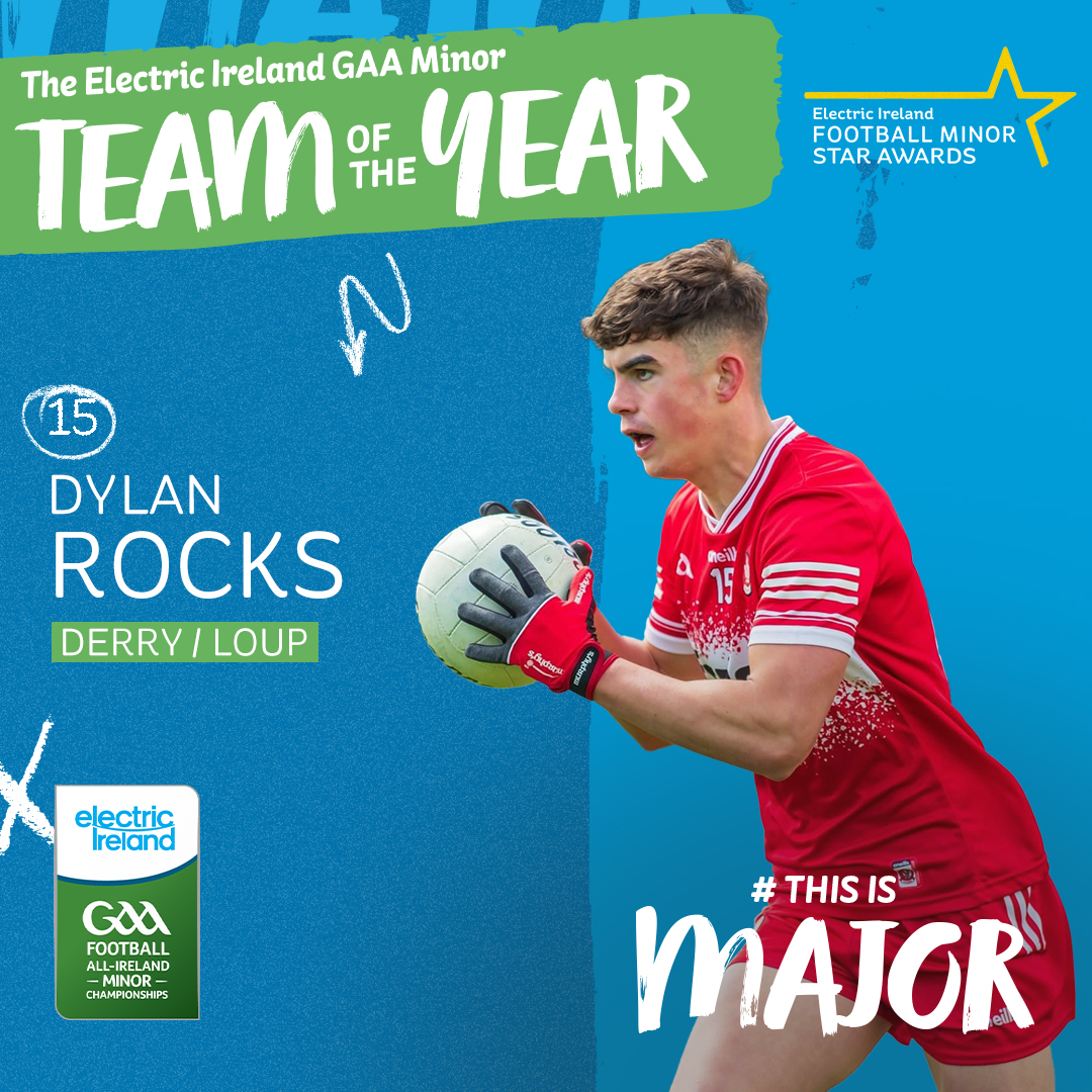 Electric Ireland tweet media